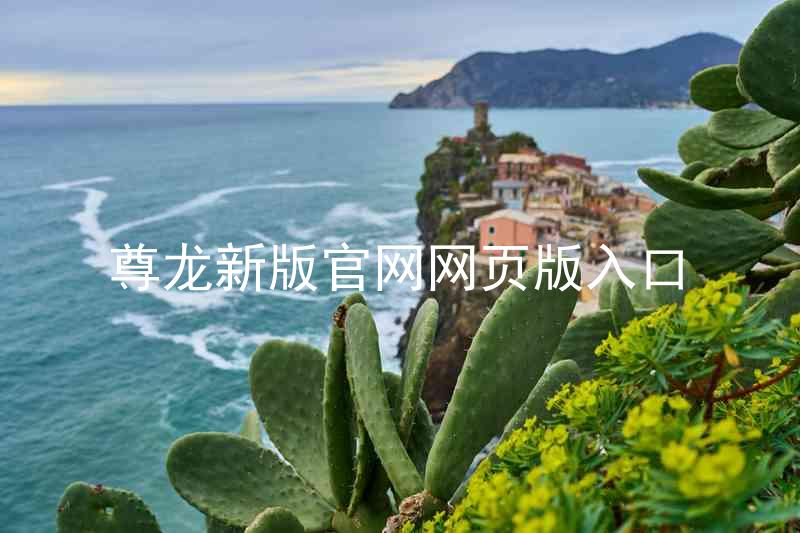 尊龙新版官网网页版入口