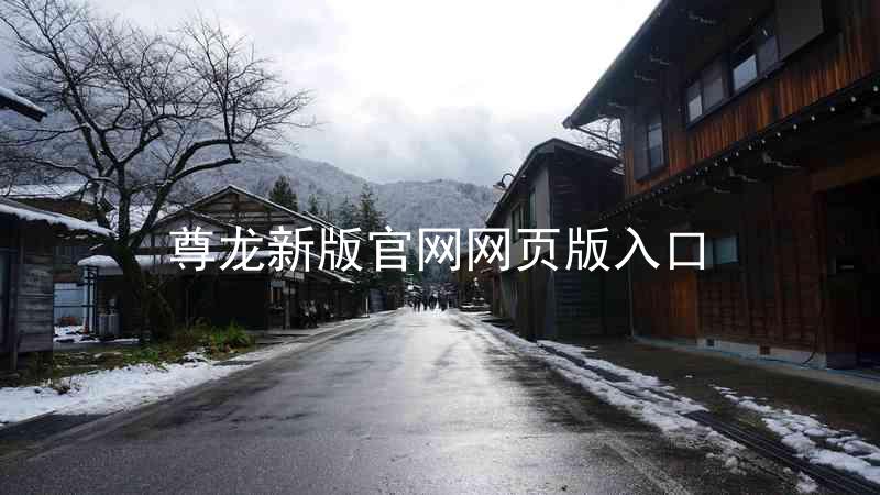 尊龙新版官网网页版入口